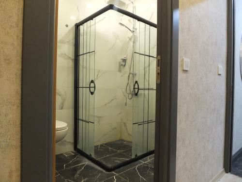 伊斯坦布尔CLOVE SİLVANA HOTEL的一间带卫生间的浴室内的玻璃淋浴间