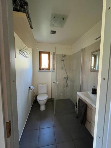 VecumniekiHoliday home Slokas的浴室配有卫生间、淋浴和盥洗盆。