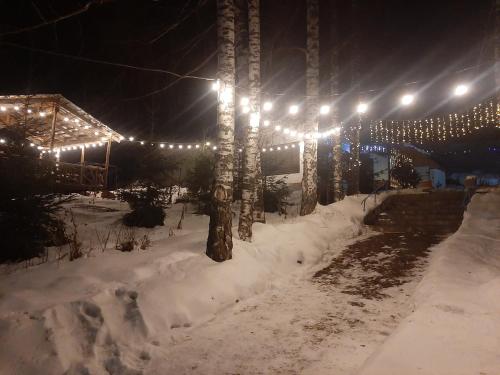 BesqaynarГостевой дом Almatau House的夜间有灯光覆盖的雪地公园