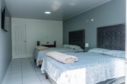 Santa AnaPosada La Rosa的卧室设有两张床铺和蓝色的墙壁