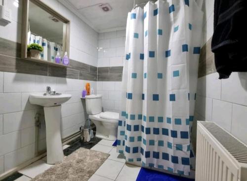 蓬塔阿雷纳斯Hostal Host Patagonia的浴室设有卫生间水槽和淋浴帘