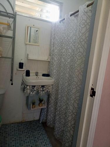 科苏梅尔Apartamento en planta alta, a pie de calle的一间带水槽和淋浴帘的浴室