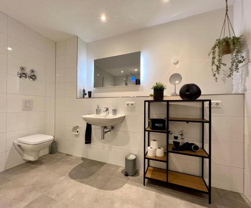 埃默里希PISO SUPERIOR - Exklusives Apartment an der Promenade mit Rheinsicht & Loggia的一间带水槽、卫生间和镜子的浴室