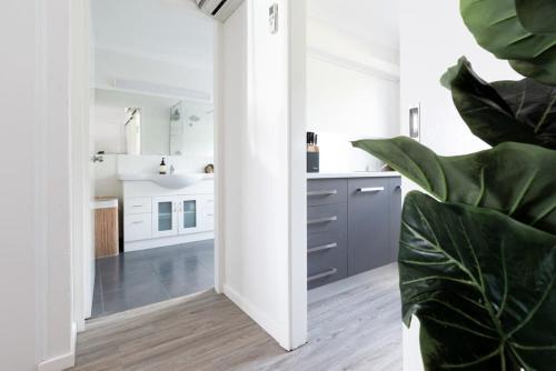 InvereskSweet Escape: Studio with Parking & WiFi的一间拥有白色墙壁和大型绿色植物的厨房