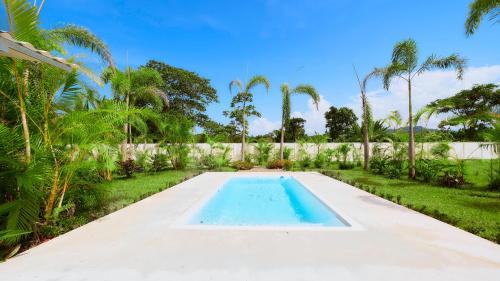 Hone CreekModern home with pool的棕榈树庭院内的游泳池