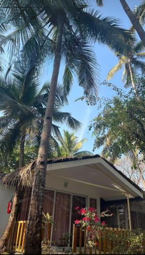 卡纳科纳Taste of Nature的两棵棕榈树在房子前面