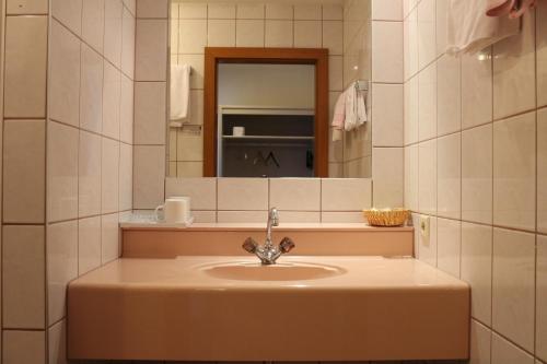 格拉茨水宫酒店的一间带水槽和镜子的浴室
