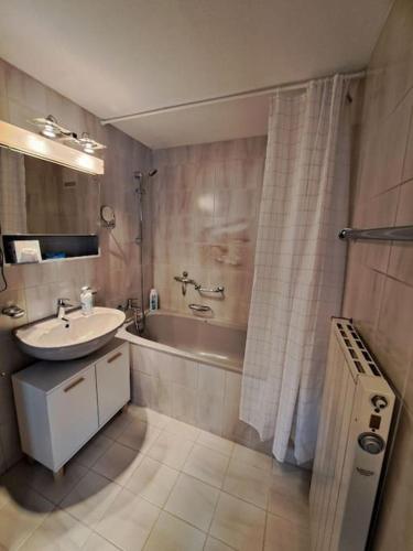 沙恩Apartment im Rietle的浴室配有盥洗盆和浴缸。