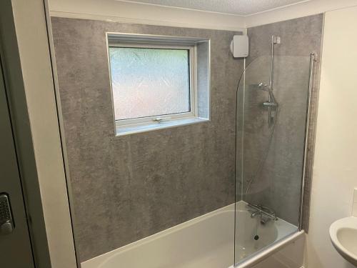 伊利Brays View的带淋浴和浴缸的浴室以及窗户。