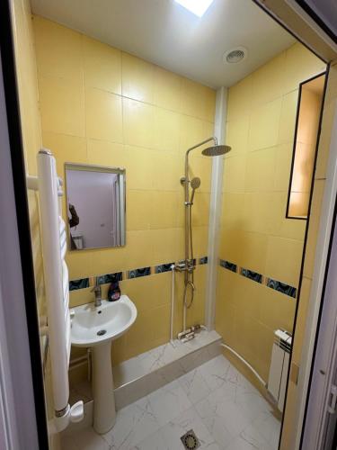久姆里Mtour Apartment的一间带水槽和淋浴的浴室