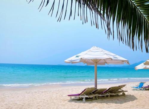 Ninh HòaTTC Van Phong Bay Resort的海滩上设有两把躺椅和一把遮阳伞