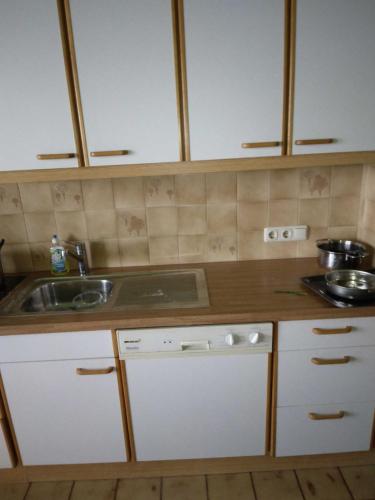 比伯维尔Alpenstern的厨房配有水槽和台面