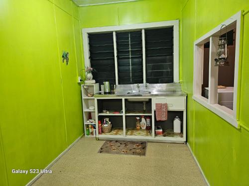 阿洛菲Heleni Jessop's Fatahega的绿色的厨房设有水槽和窗户