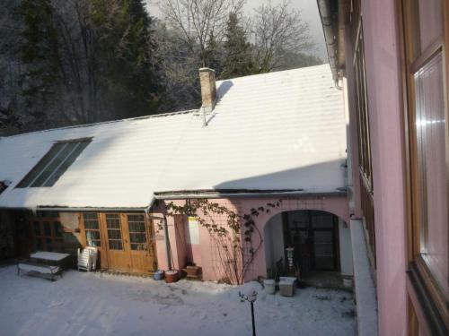 SchottwienFerienwohnungen Manuela的屋顶上积雪的房子