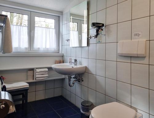 索尔陶Hotel Dat greune Eck的一间带水槽、卫生间和镜子的浴室