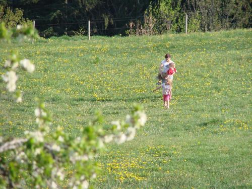 圣卡瑟林阿哈Pircherhof - Urlaub und Erholung im Troadkost'n的在一个草地上行走的小孩