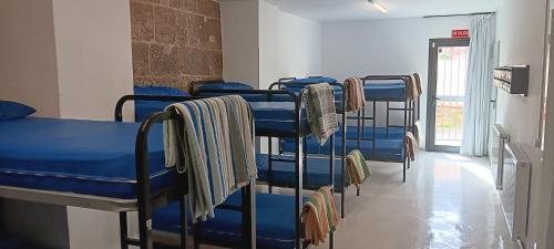 洛格罗尼奥圣地亚哥阿波斯托尔旅馆的客房内的一排蓝色双层床