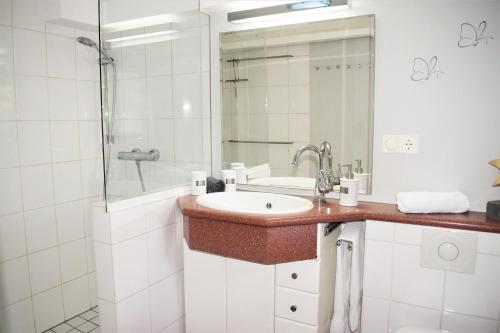 博德卢姆Heimathafen的白色的浴室设有水槽和淋浴。