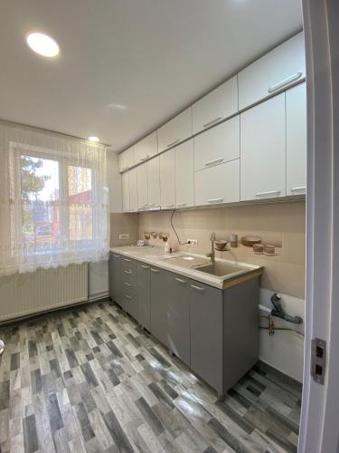 特尔古尼亚姆茨SorinaApartament的厨房配有白色橱柜和水槽