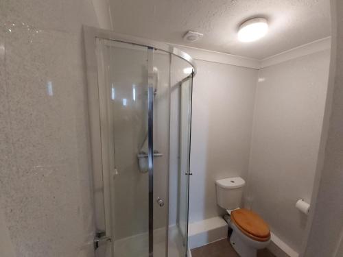 桑当奇诺风景酒店的一间带卫生间和玻璃淋浴间的浴室