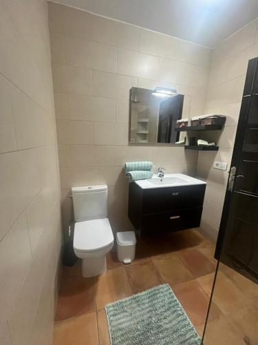 宏达海滩CASA SIBILA的一间带卫生间、水槽和镜子的浴室