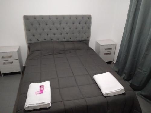 Puerto Santa CruzAlojamiento laura的一间卧室配有一张大床和两条白色毛巾