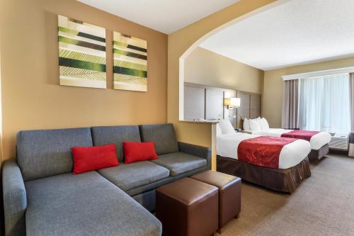 休斯顿布什洲际机场康福特套房酒店的酒店客房设有一张沙发和一张床