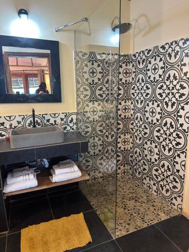 恩加帕鲁Le CavaLodge的带淋浴、盥洗盆和镜子的浴室