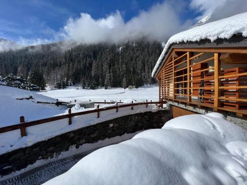 格雷索圣尚De Goldene Traum的雪地小木屋,有雪覆盖的院子