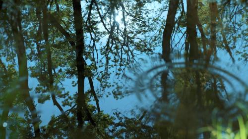 那须町nasu mukunone AUBERGE的水中树木的反射