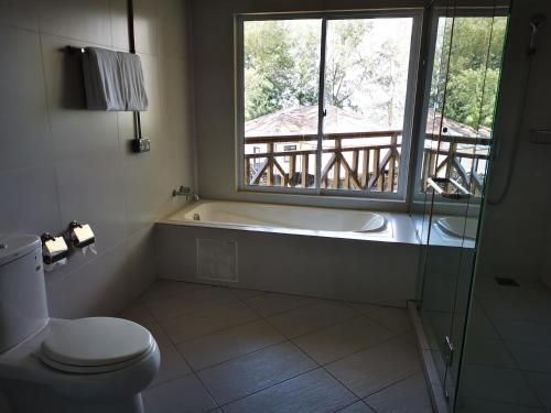 珍南海滩Century Langkasuka Resort Langkawi的带浴缸、卫生间和窗户的浴室