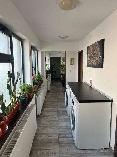 加拉茨Solaria Budget Studio的走廊上设有两台洗衣机和盆栽植物