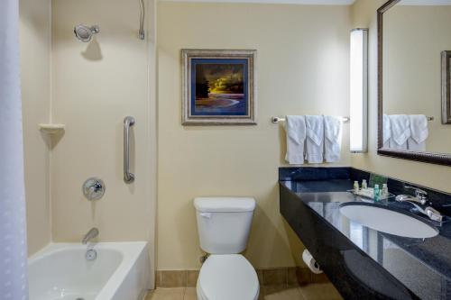 奥古斯塔奥古斯塔西20号州际公路假日酒店的浴室配有盥洗盆、卫生间和浴缸。