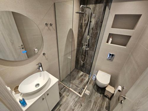 阿普索斯NAVSIKA LUXURY APARTMENT的带淋浴、盥洗盆和卫生间的浴室