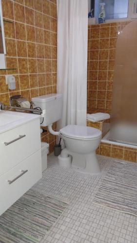 托特瑙Schöne Aussicht的浴室配有卫生间、盥洗盆和淋浴。