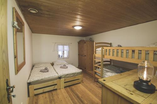 什平德莱鲁夫姆林Chalupa Hejmovka的一间卧室配有两张双层床和一张书桌