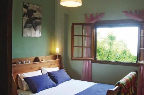 波尔塔里亚Apple House的一间卧室配有一张带蓝色枕头的床和一扇窗户。