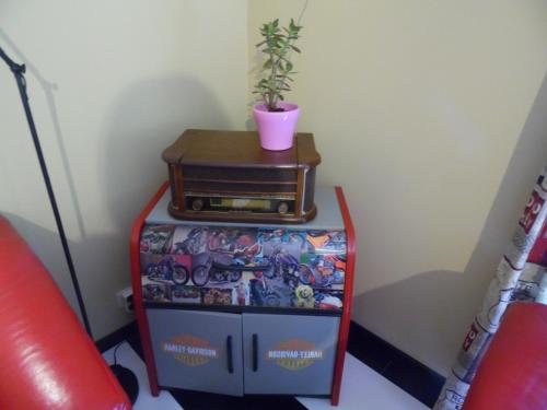 绍德方丹西城旅馆的一张桌子,上面有一台旧收音机和一株植物