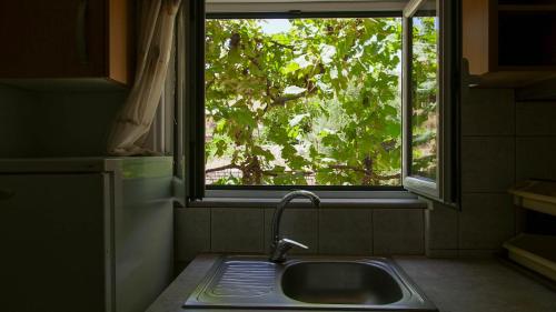 科帕罗Guest House Suga 1的窗户前有树,厨房水槽