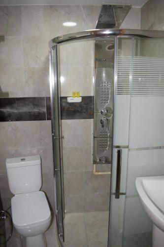 瓦迪穆萨Petra rose city的带淋浴、卫生间和盥洗盆的浴室