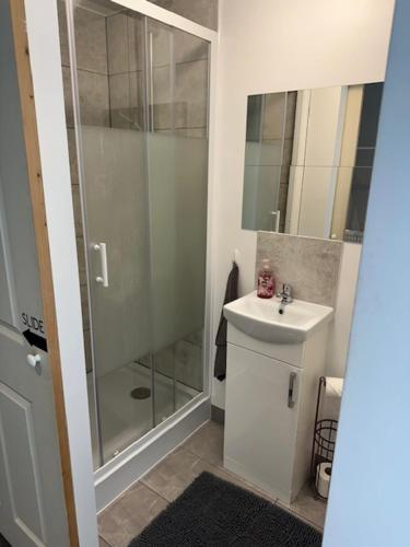 诺丁汉Bestwood Lodge Studio的一间带玻璃淋浴和水槽的浴室