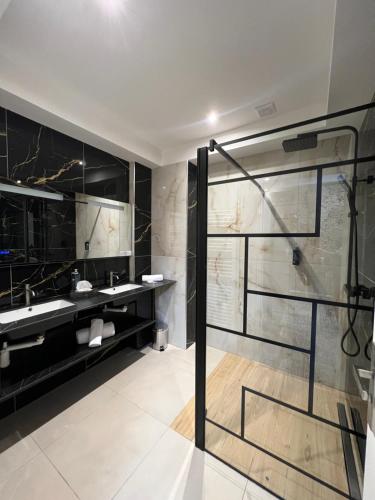 特鲁瓦Brit Hotel Privilège Le Royal - Centre Gare的带淋浴的浴室和玻璃门