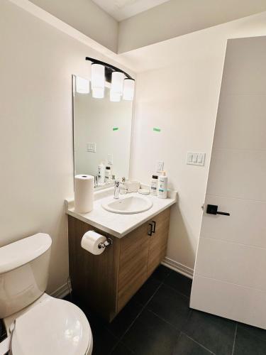 基奇纳Private and spacious Basement的一间带卫生间、水槽和镜子的浴室