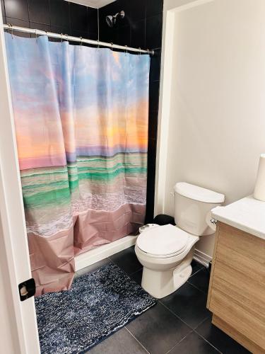 基奇纳Private and spacious Basement的一间带卫生间和淋浴帘的浴室