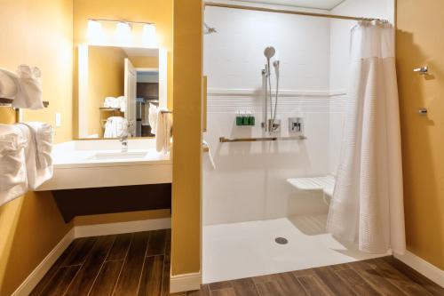 大急流城TownePlace Suites by Marriott Grand Rapids Airport Southeast的一间带水槽、淋浴和卫生间的浴室