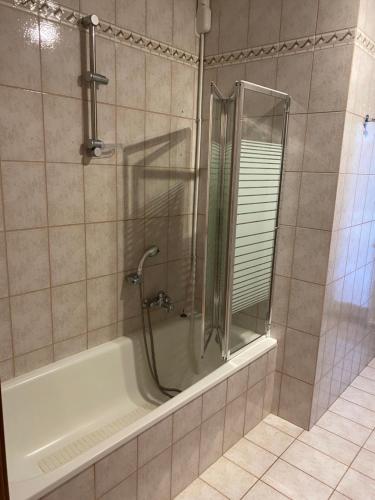 诺瓦拉Appartamento ONE的浴室里设有玻璃门淋浴