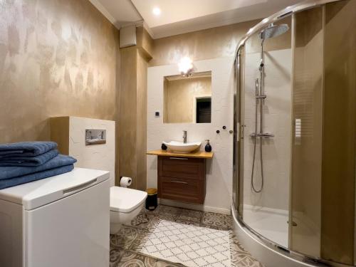 科希切日纳Apartament na Kaszubach的带淋浴、卫生间和盥洗盆的浴室