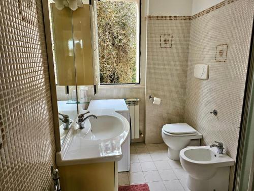 马洛塔SE052 - Marotta, delizioso bilocale con giardino的一间带水槽和卫生间的浴室以及窗户。