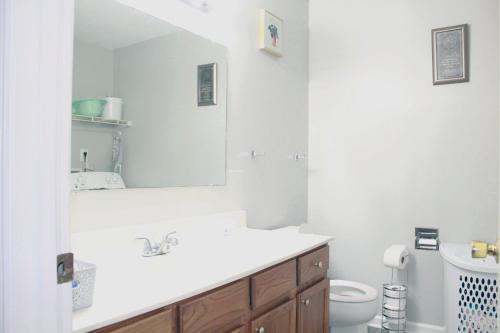 约翰逊城MD Cozy Corner的一间带水槽、卫生间和镜子的浴室