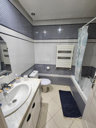 拉古莱特Gouletteparadis的一间带水槽和卫生间的浴室